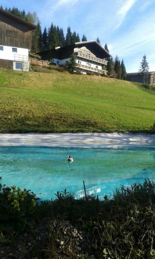 Pension Chalet Bergseegut Wagrain Exteriér fotografie