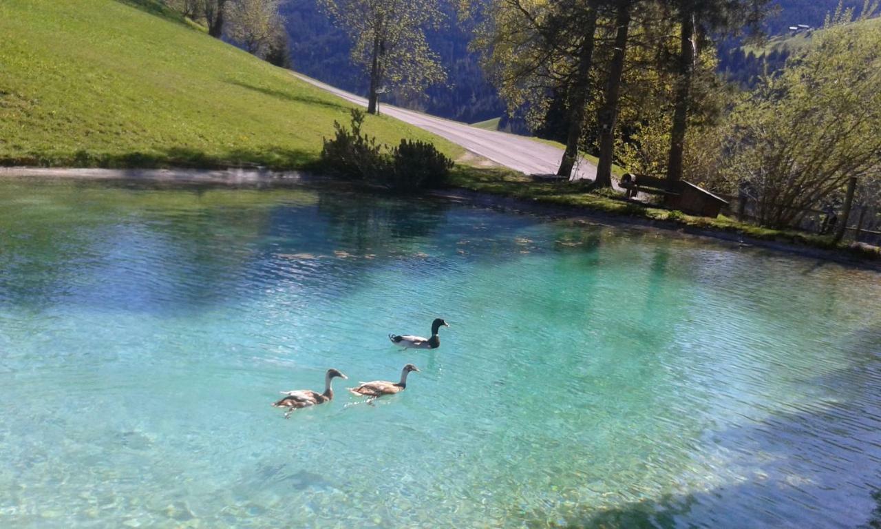 Pension Chalet Bergseegut Wagrain Exteriér fotografie