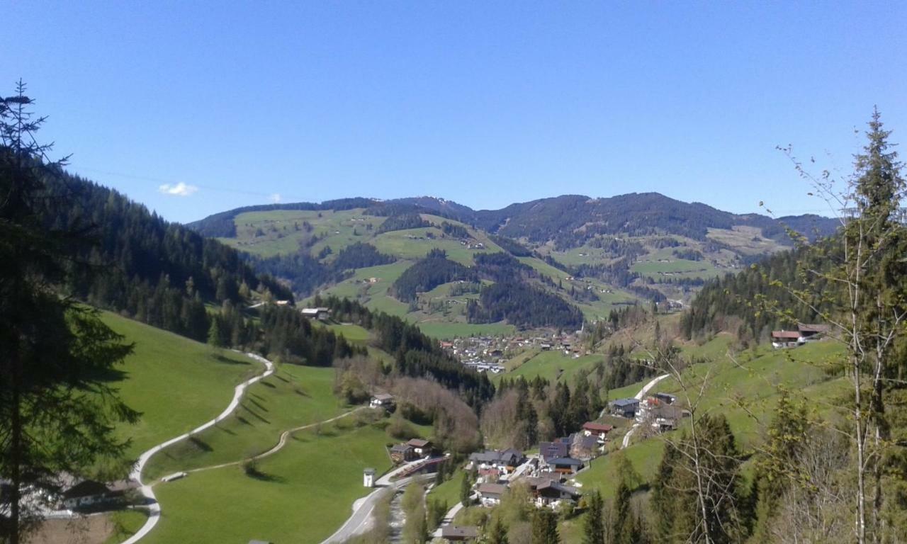 Pension Chalet Bergseegut Wagrain Exteriér fotografie