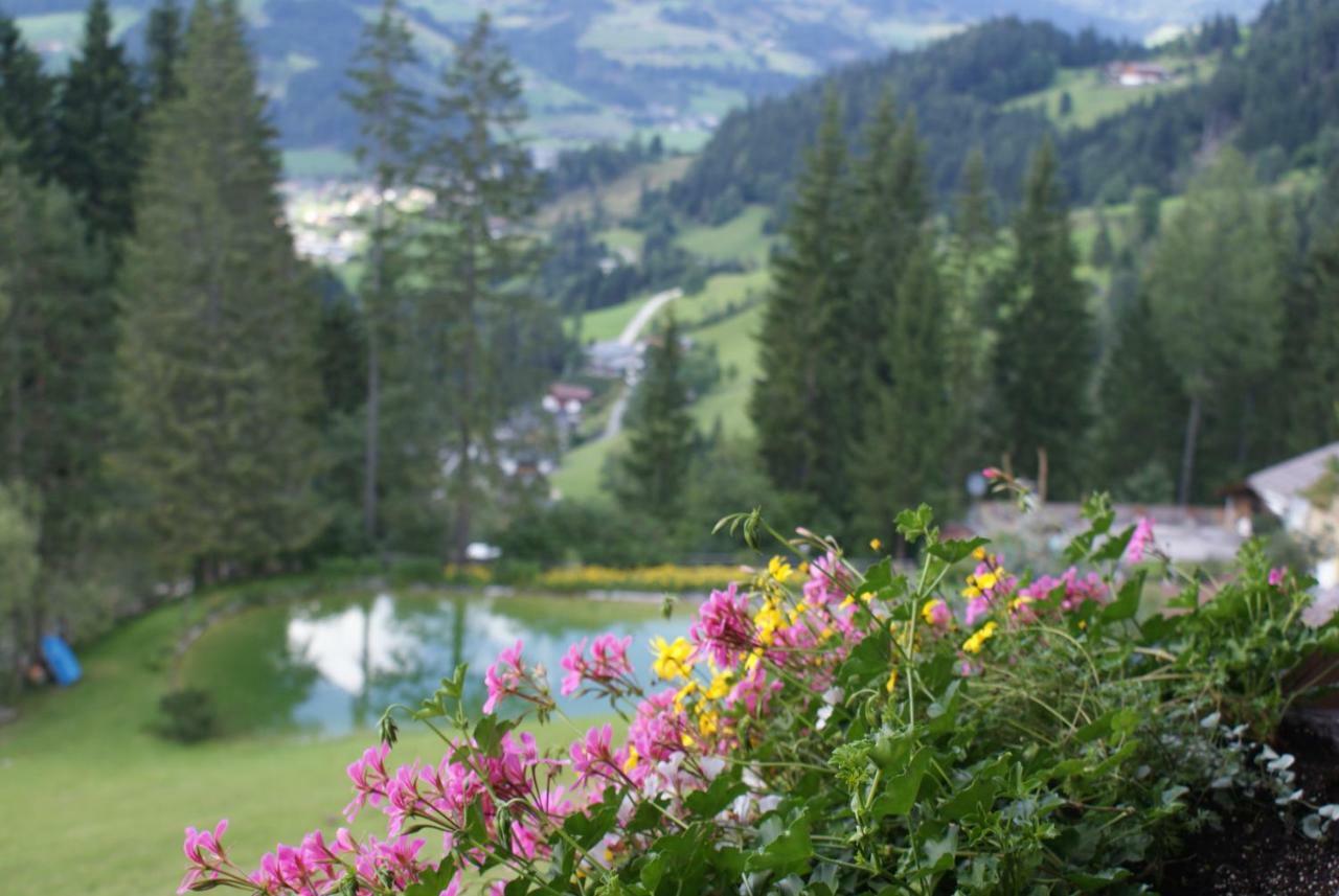 Pension Chalet Bergseegut Wagrain Exteriér fotografie