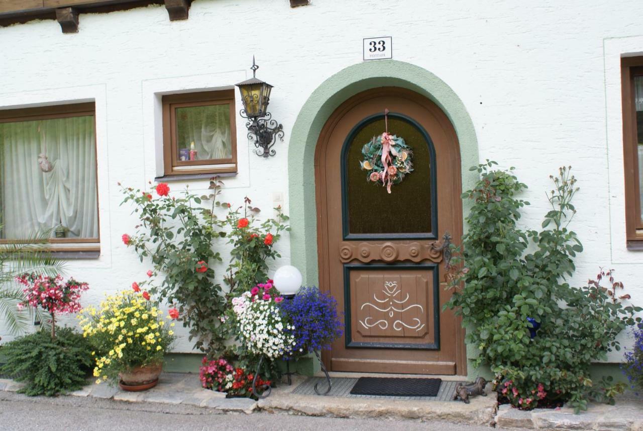 Pension Chalet Bergseegut Wagrain Exteriér fotografie