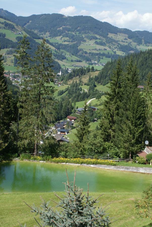 Pension Chalet Bergseegut Wagrain Exteriér fotografie