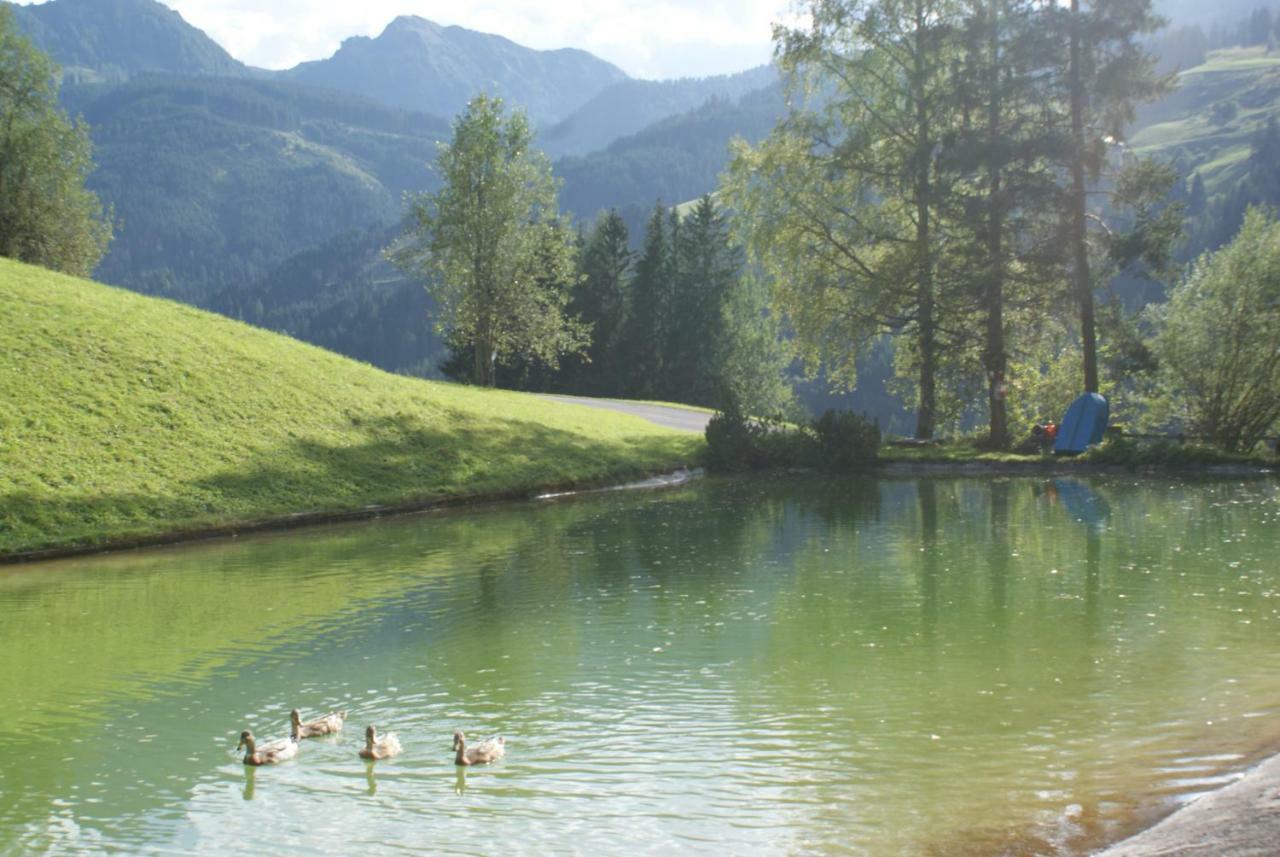 Pension Chalet Bergseegut Wagrain Exteriér fotografie
