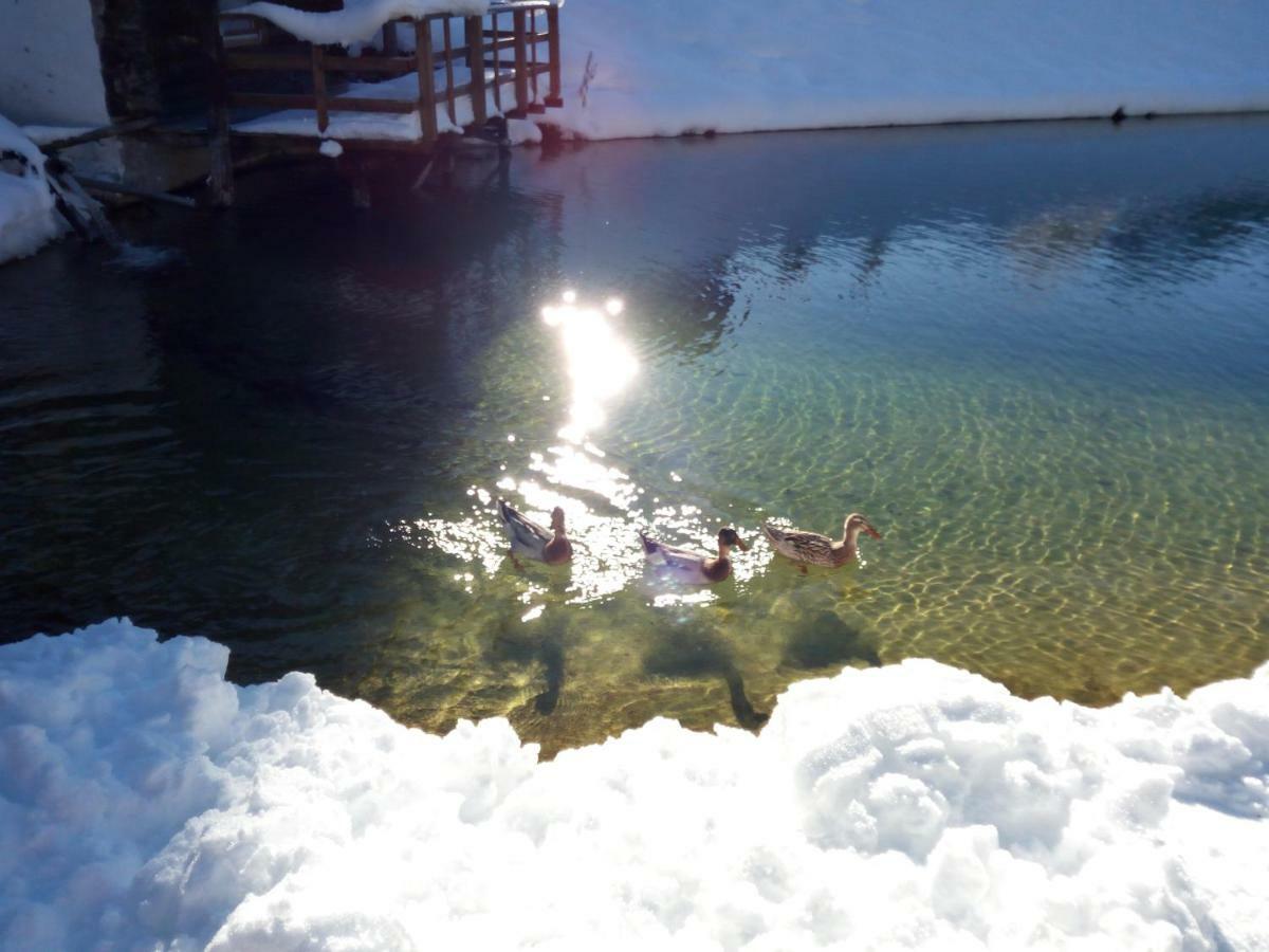 Pension Chalet Bergseegut Wagrain Exteriér fotografie