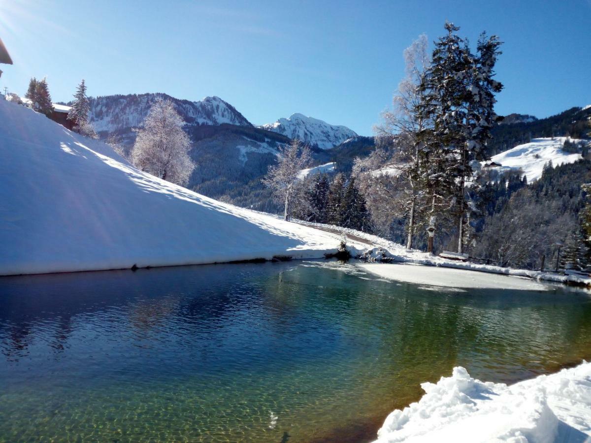 Pension Chalet Bergseegut Wagrain Exteriér fotografie