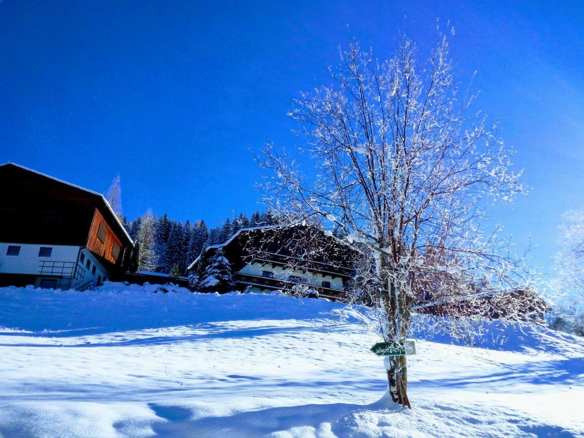 Pension Chalet Bergseegut Wagrain Exteriér fotografie