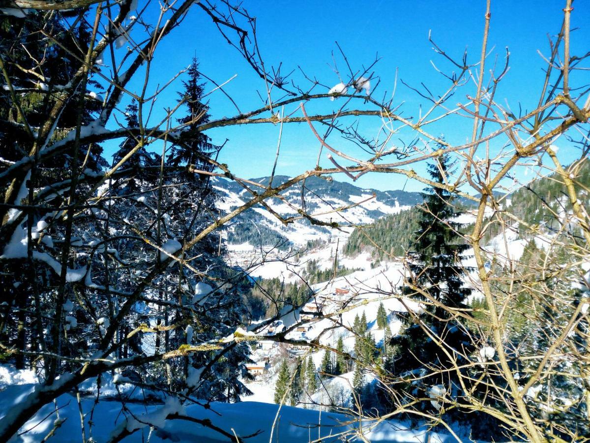 Pension Chalet Bergseegut Wagrain Exteriér fotografie