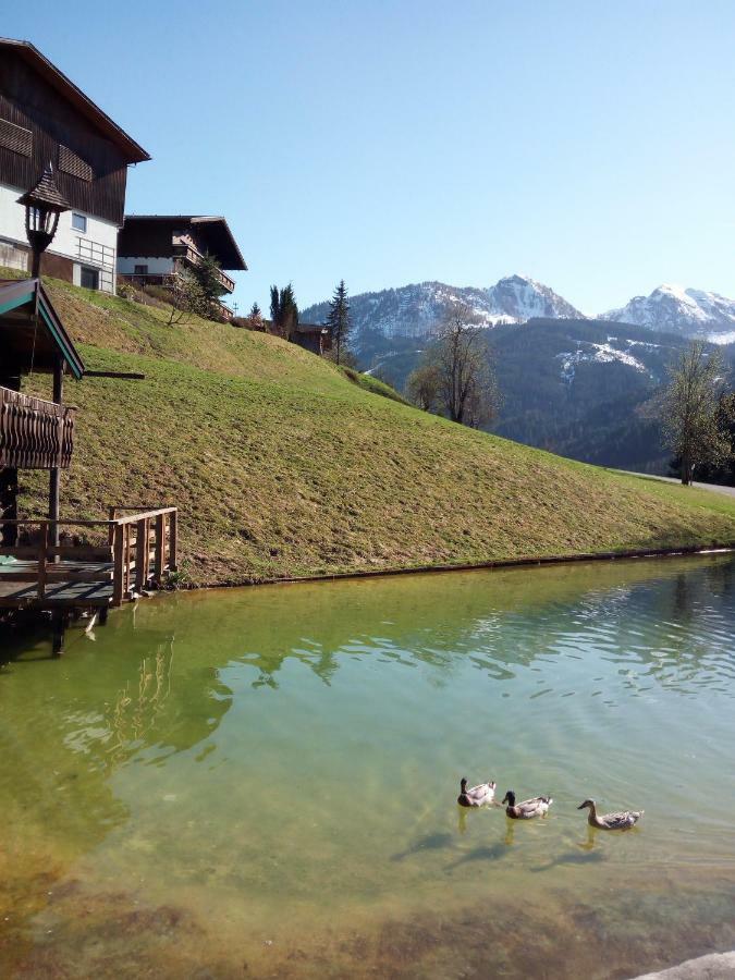 Pension Chalet Bergseegut Wagrain Exteriér fotografie