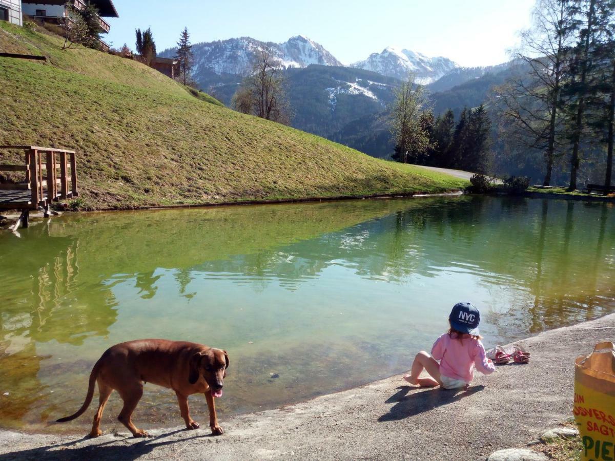 Pension Chalet Bergseegut Wagrain Exteriér fotografie